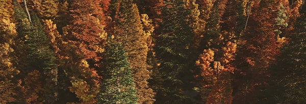 Couleurs aléatoires