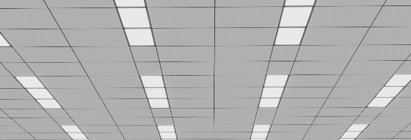 Endlessly Customisable