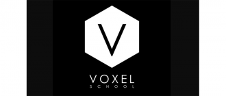 Voxel School