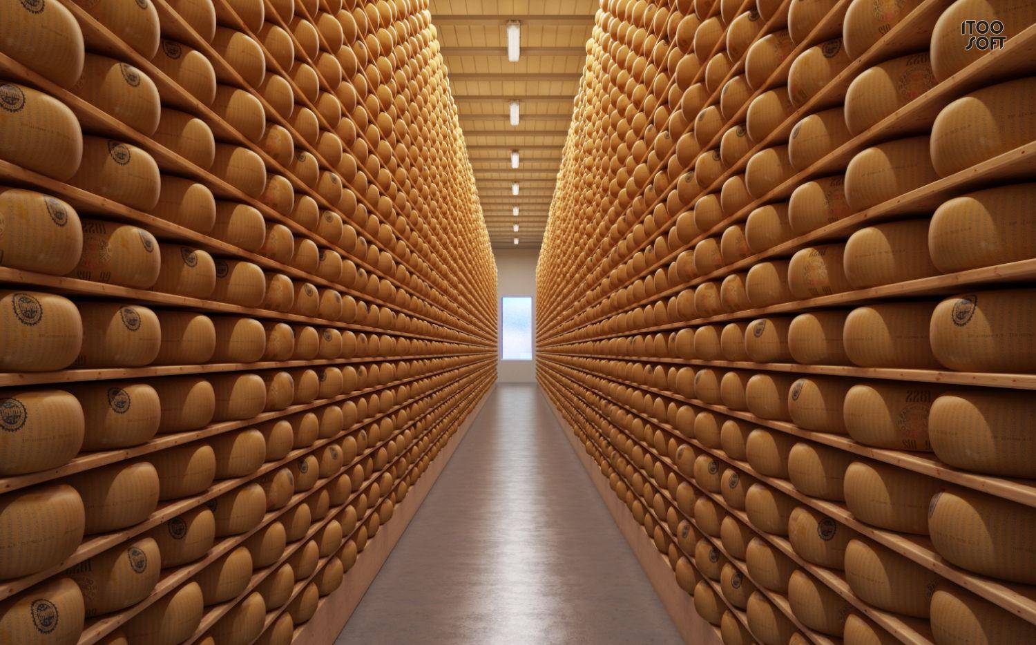 Gallery Cheese Bank by Andrius Julpa