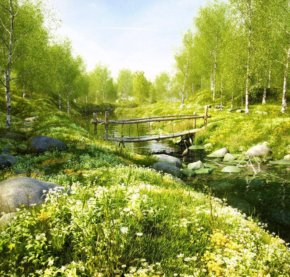 Birch Grove