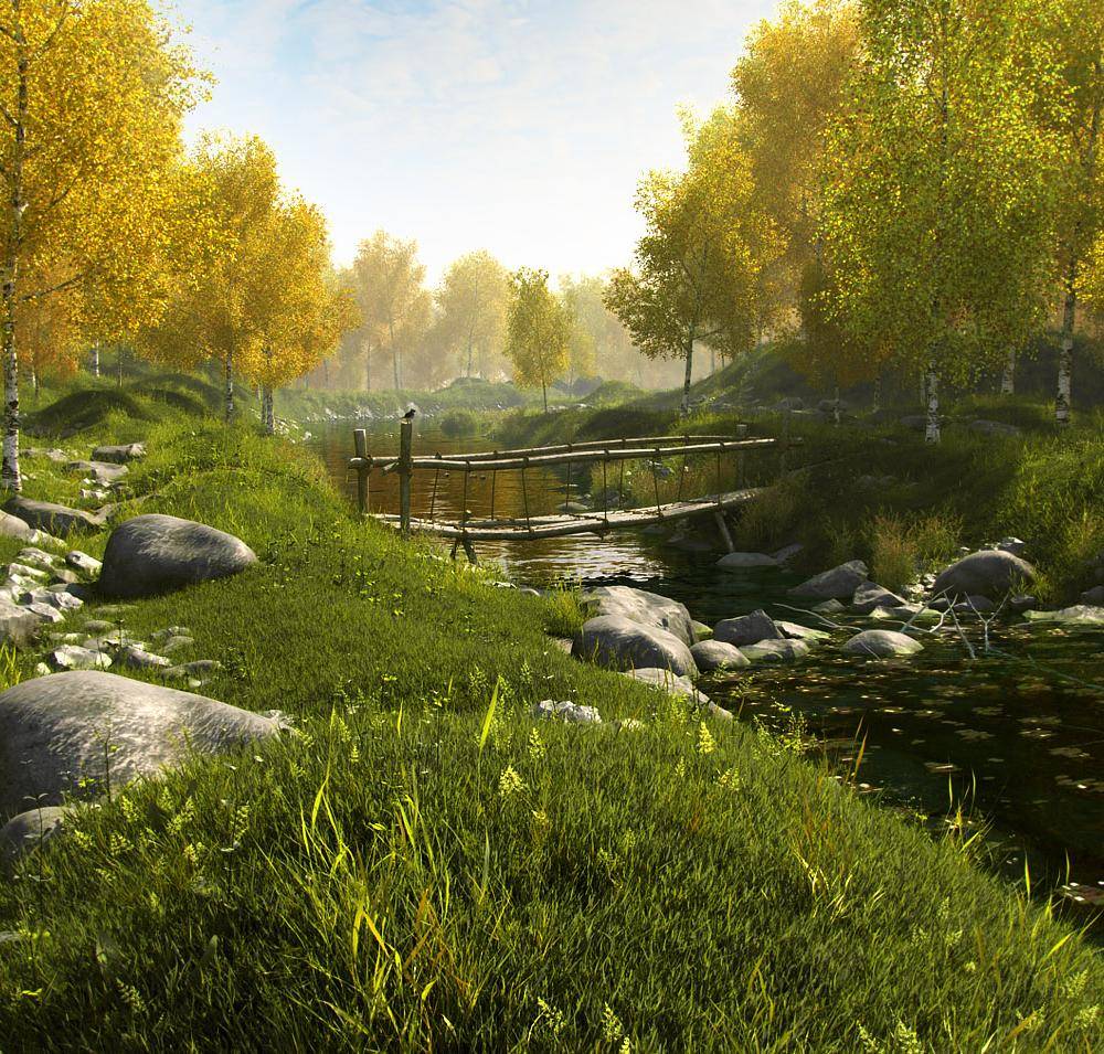 Birch Grove