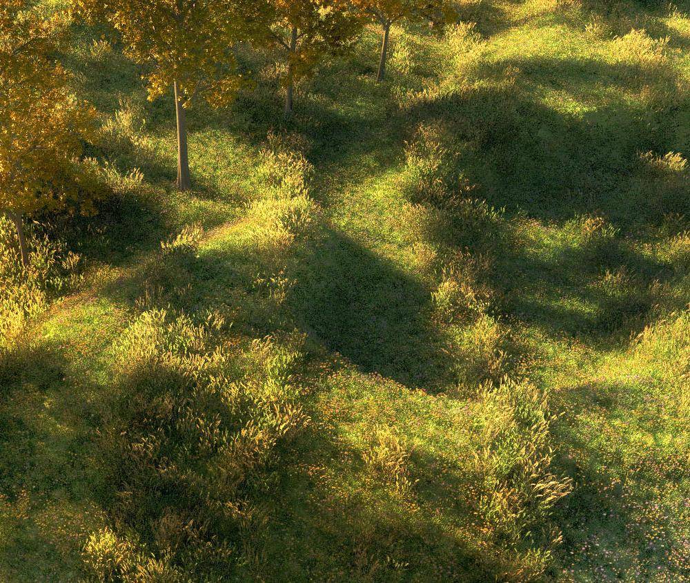 Image for Architecture