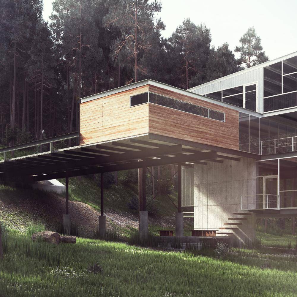 Modern Cabin