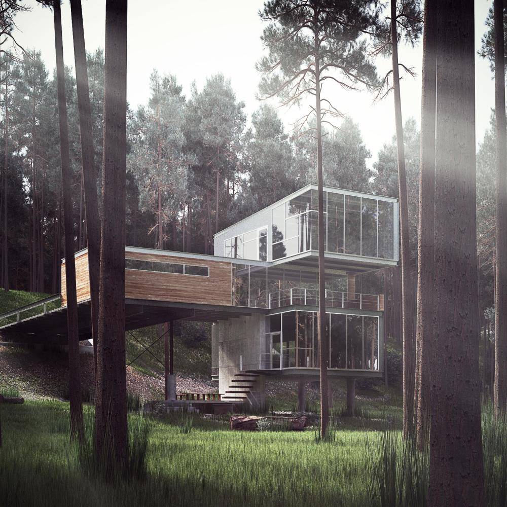 Modern Cabin