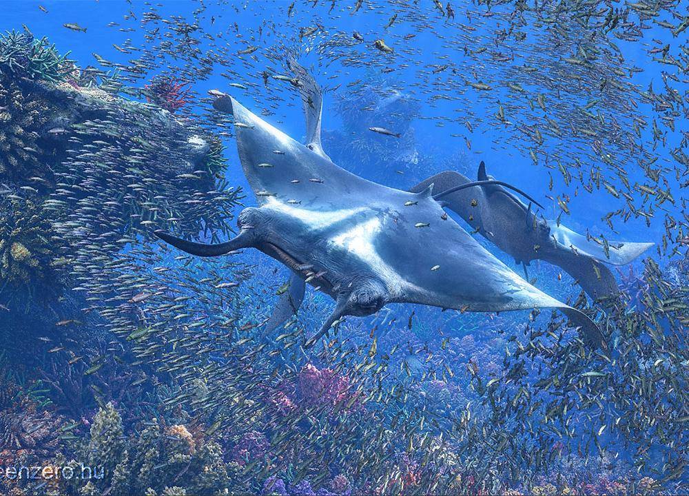 Greenzero Showreel Stills