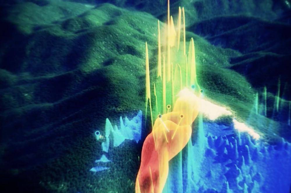 Toucan Creative Showreel