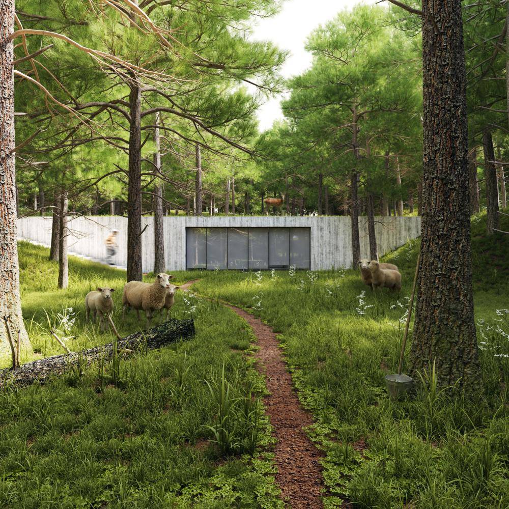 House in the Woods