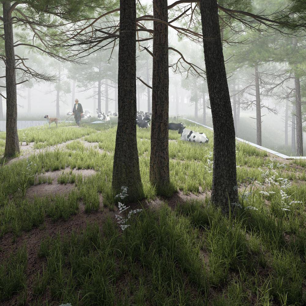 House in the Woods