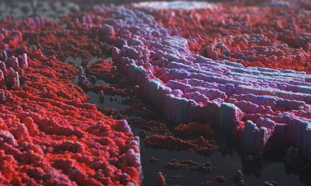 Forest Texture Distribution