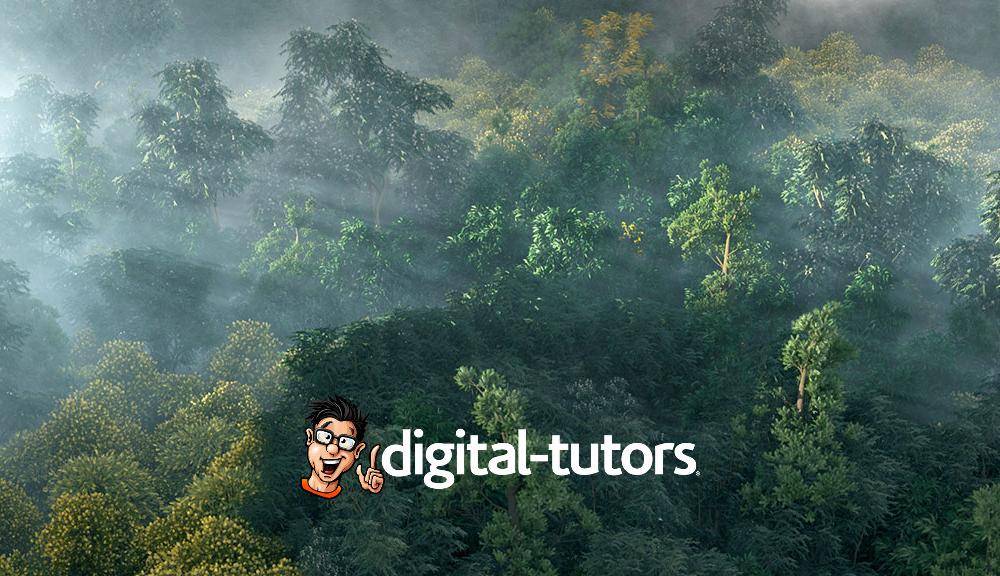 Creating a Forest From Scratch