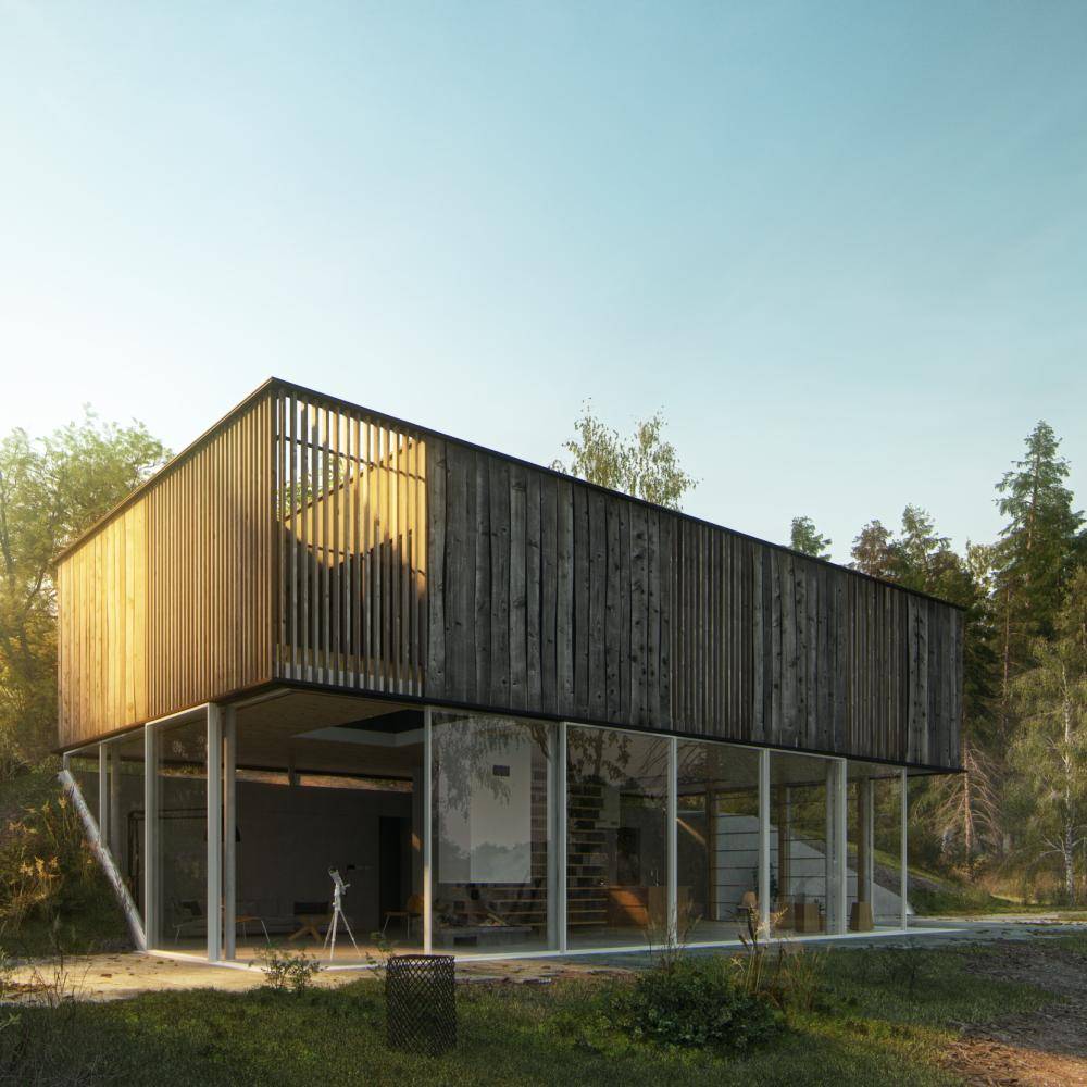 DHouse and Pedestrian Bridge Miro