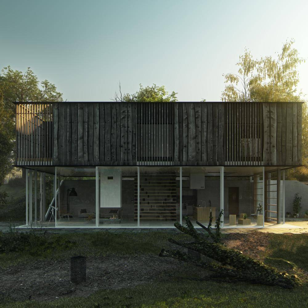 DHouse and Pedestrian Bridge Miro