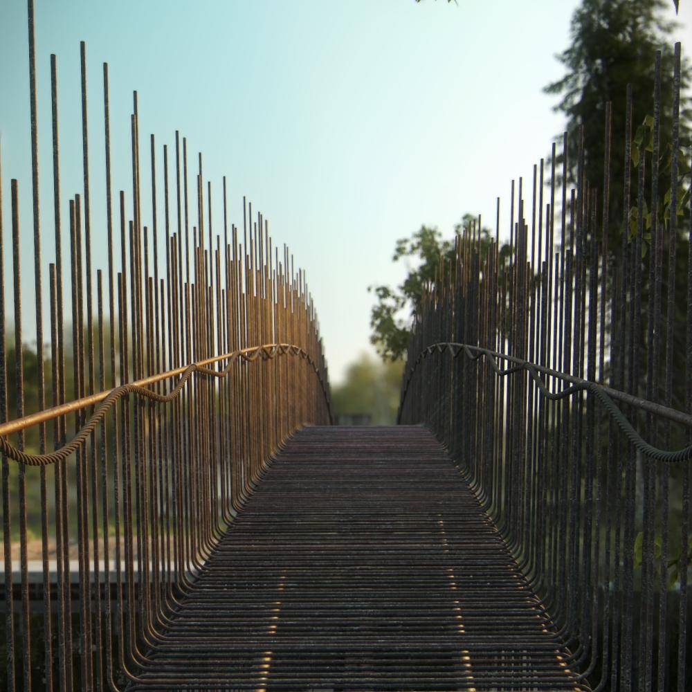 DHouse and Pedestrian Bridge Miro