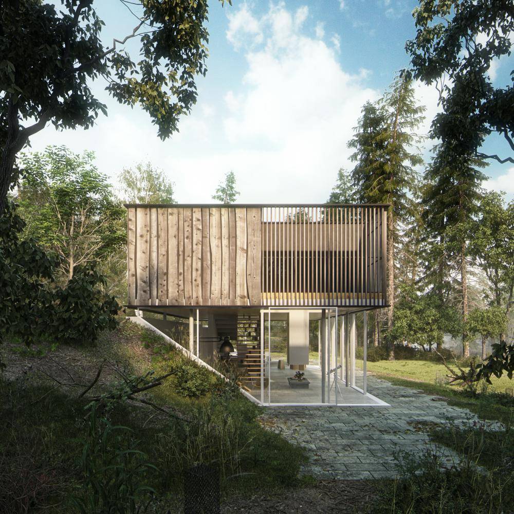 DHouse and Pedestrian Bridge Miro