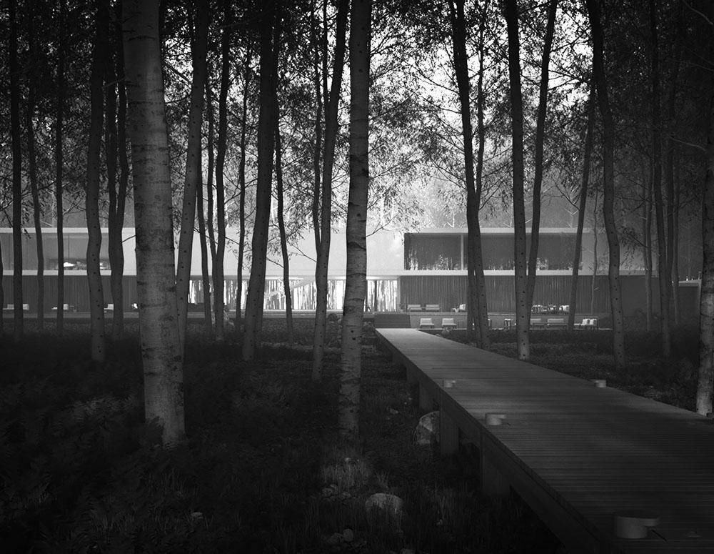 Superhouse amid the Trees