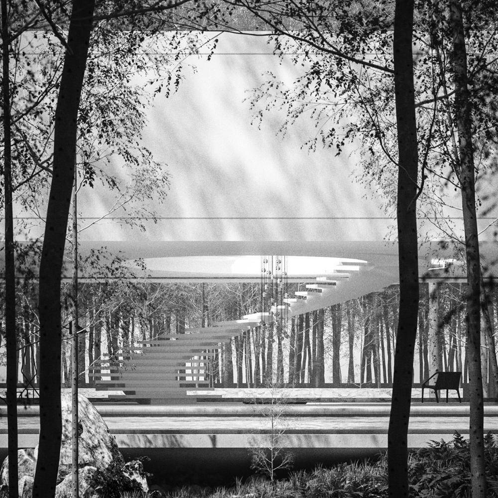 Superhouse amid the Trees