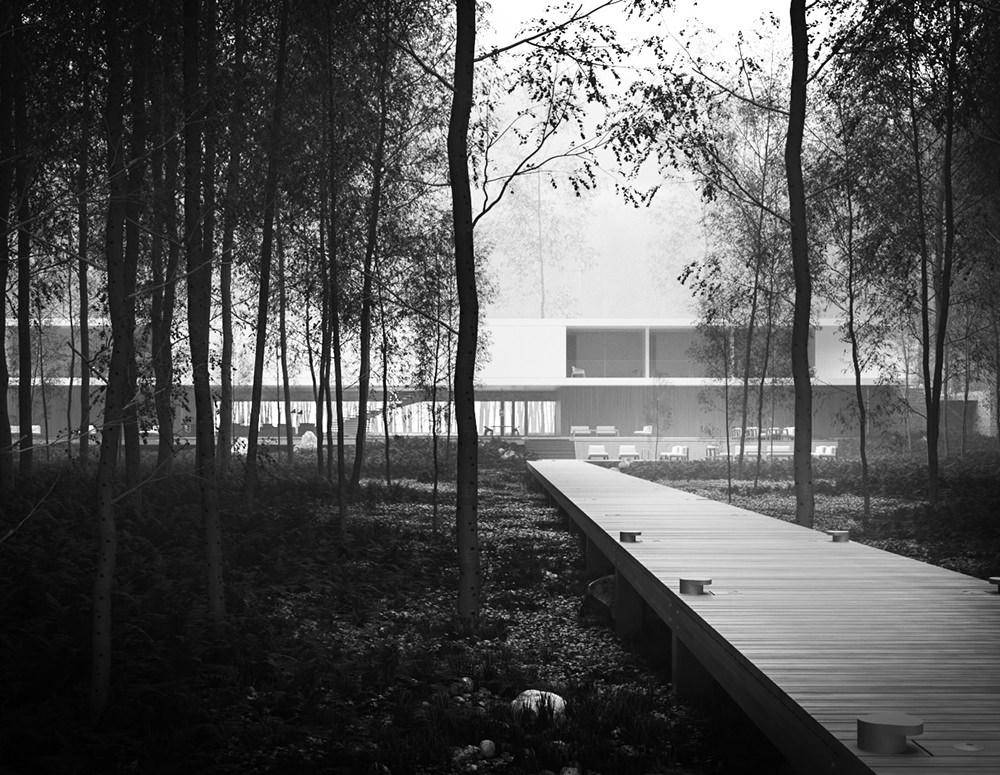 Superhouse amid the Trees