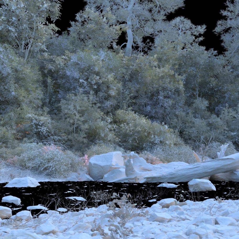 Autumn Creek