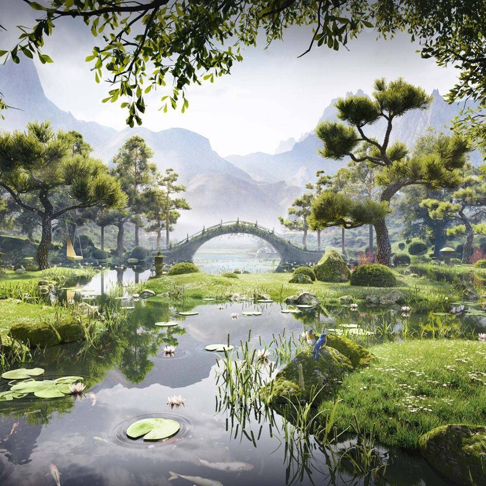 International Day of Forests 2017