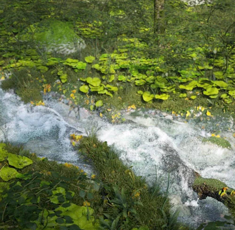 Fully CG Forest Environment