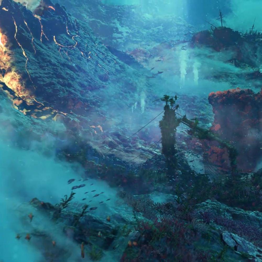 The Journey of the Waterbear