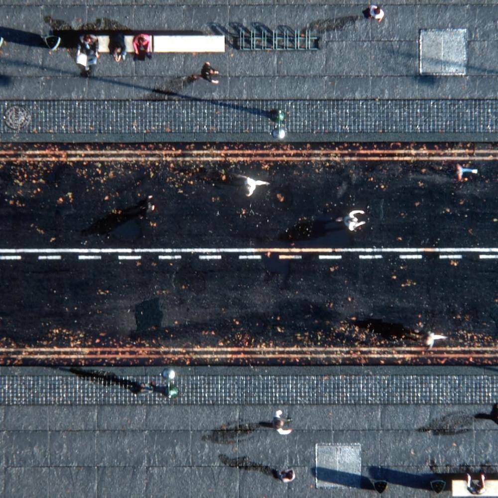 Finding Perspective, Finding Will