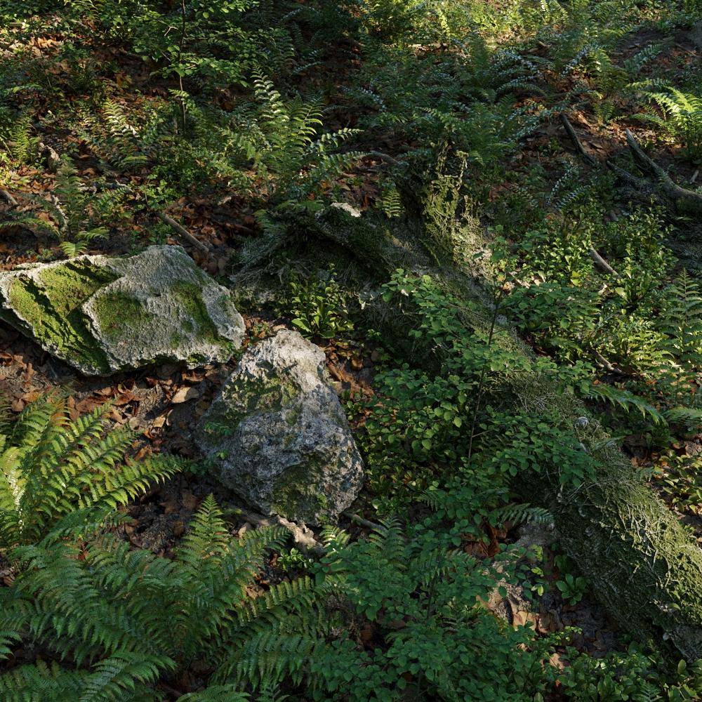 Evermotion 15th Anniversary