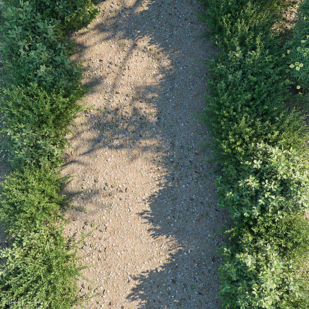 Vettam - a Heritage History