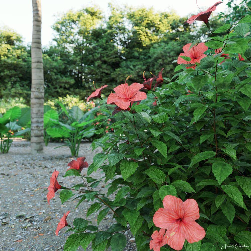 Vettam - a Heritage History