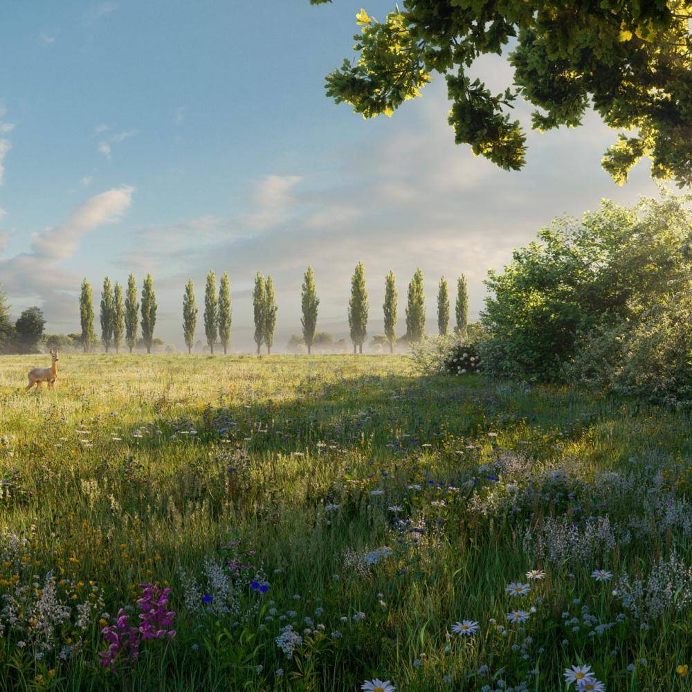 Biodiverse Habitat Visualisation