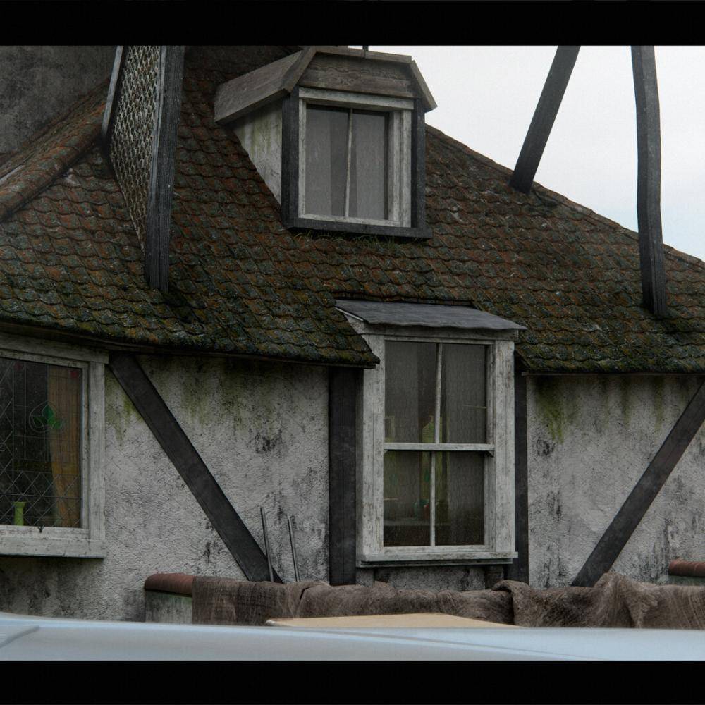 The Burrow