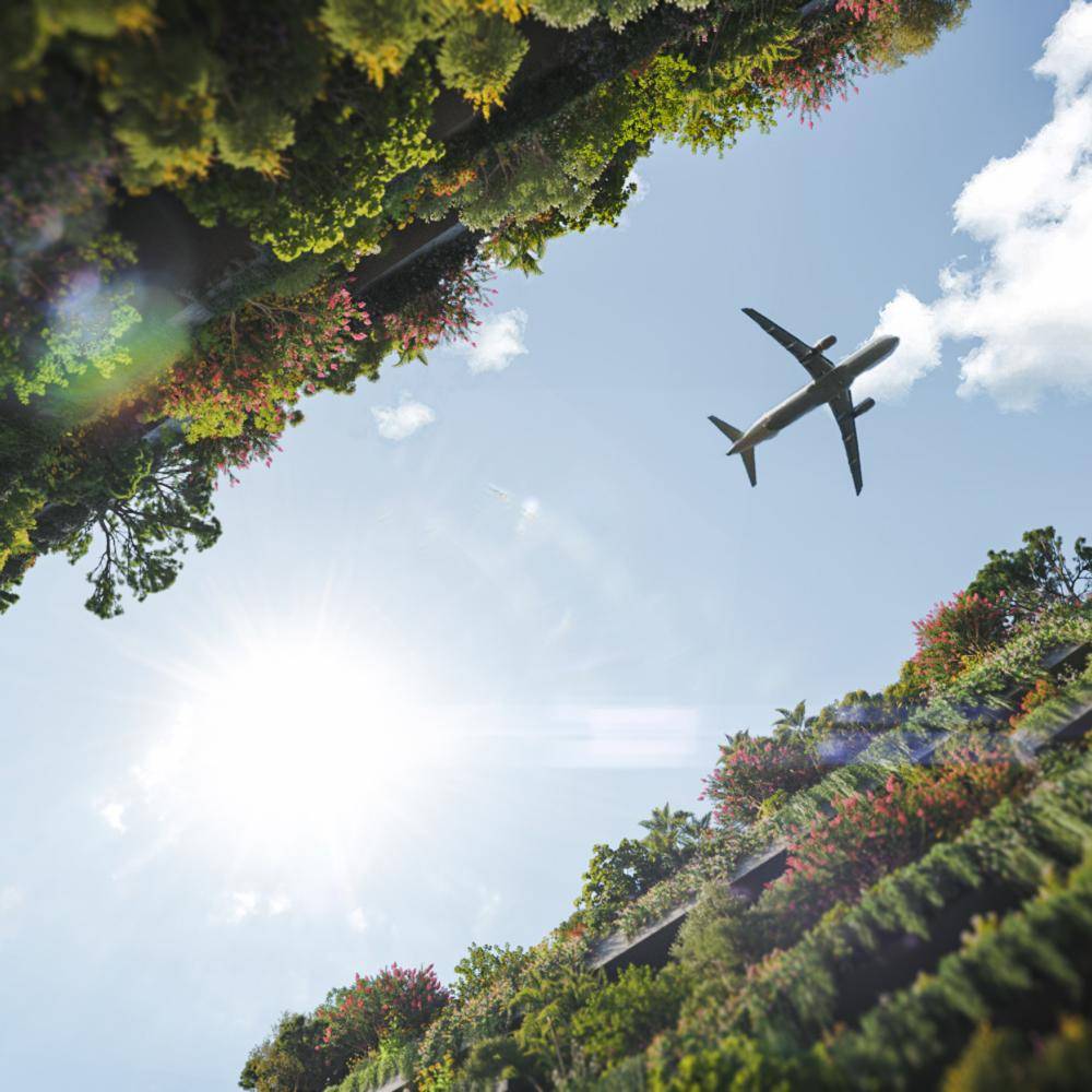 Vertical Forest