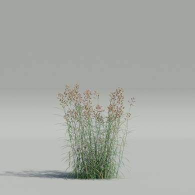 grass patch 04 Modèle 3D in L'herbe et la couverture du sol 3DExport