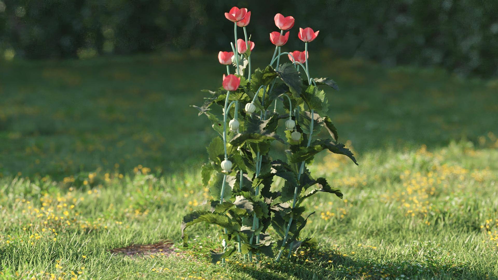 Purchase The Bushes And Flowers Volume 5 3DGarden 3d Asset Library purchase-the-bushes-and-flowers-volume-5-3dgarden-3d-asset-library