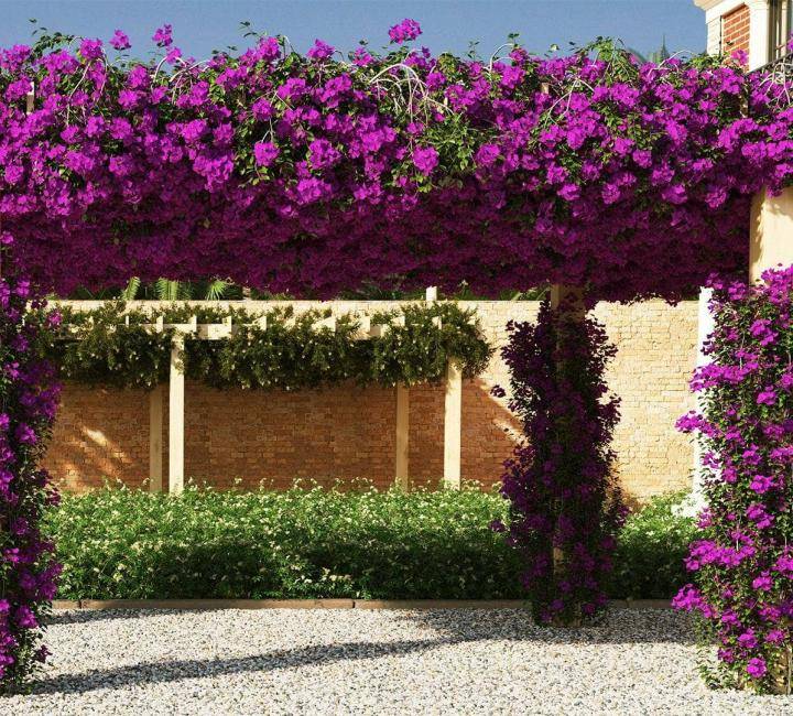 3DGarden Complete Bundle - Rendered Image 12