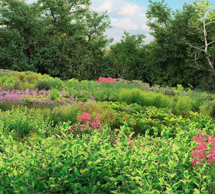 3DGarden Complete Bundle - Rendered Image 14
