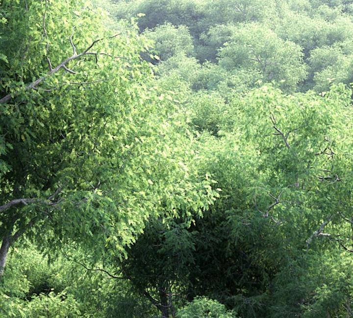 3DGarden Complete Bundle - Rendered Image 15