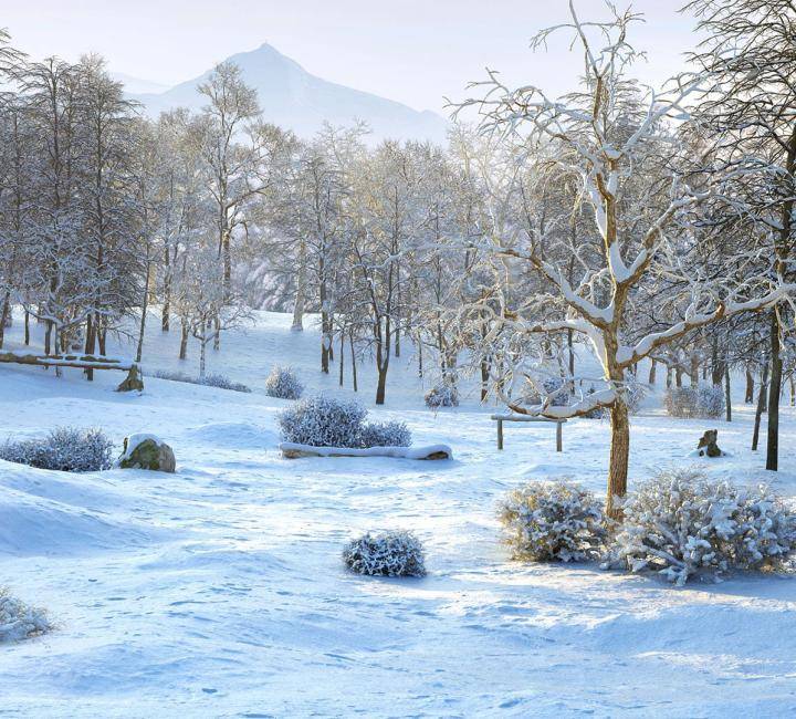 3DGarden Complete Bundle - Rendered Image 17