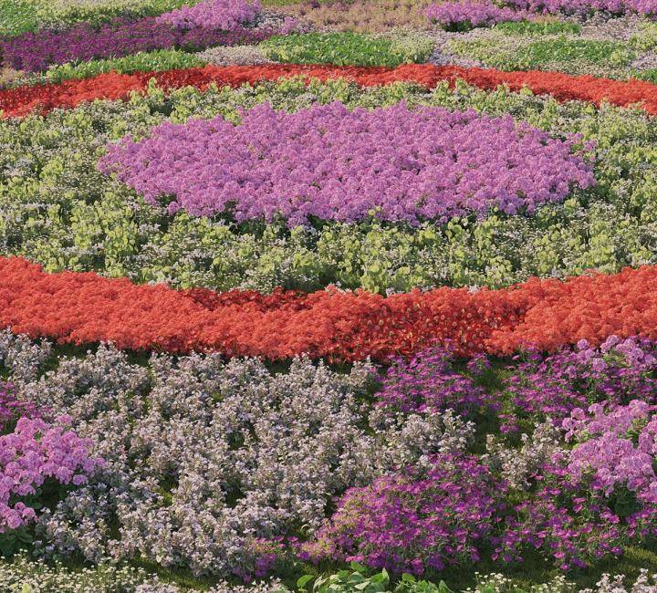 3DGarden Complete Bundle - Rendered Image 19