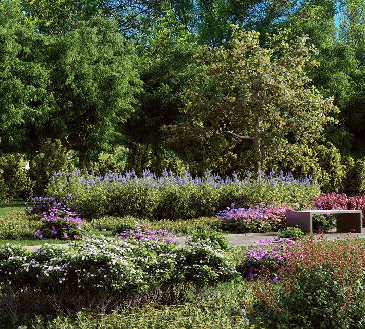 Все кусты и цветы сверток - Рендерированное изображение 2