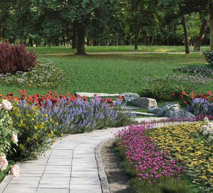 Все кусты и цветы сверток - Рендерированное изображение 5