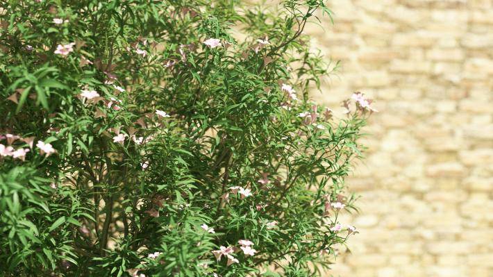 Bushes and Flowers Volumen 2 - Imagen renderizada 4