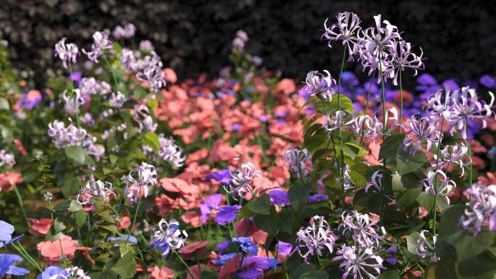 Buissons et fleurs Tome 3 - Image rendue 3