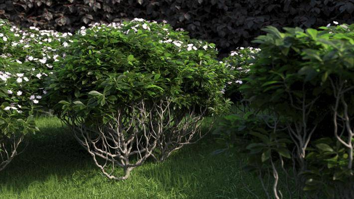 Bushes and Flowers Volumen 3 - Imagen renderizada 5