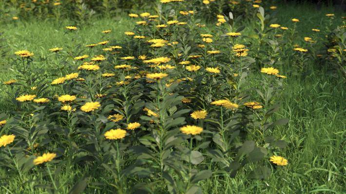 Bushes and Flowers Volumen 3 - Imagen renderizada 7