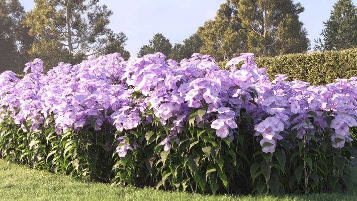 Bushes and Flowers Volume 4 - Rendered Image 10