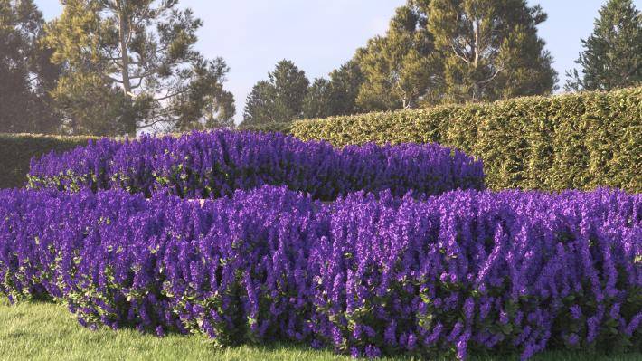 Bushes and Flowers Volume 4 - Rendered Image 15