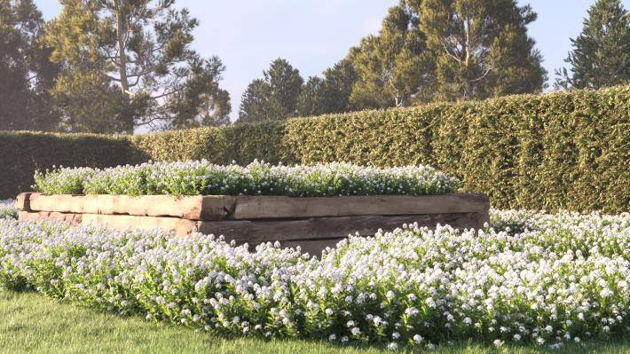 Bushes and Flowers Volume 4 - Rendered Image 16