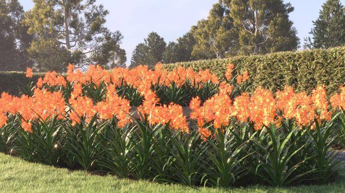 Bushes and Flowers Volume 4 - Rendered Image 17